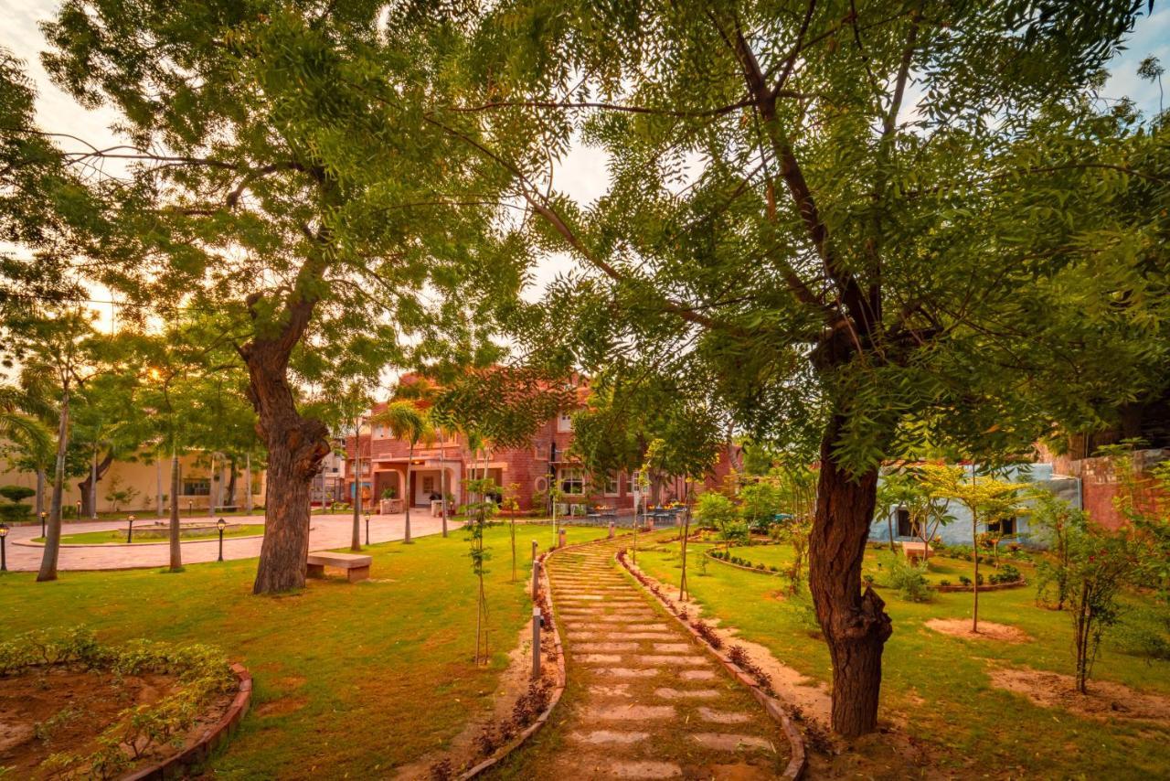 Tree Of Life Bhadrajun House, Jodhpur Hotel Jodhpur  Ngoại thất bức ảnh