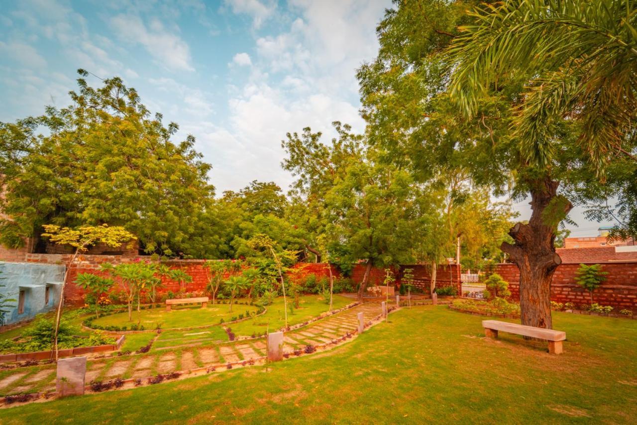 Tree Of Life Bhadrajun House, Jodhpur Hotel Jodhpur  Ngoại thất bức ảnh